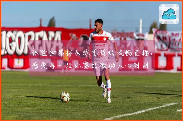 体验世界杯买球首页的流畅直播，感受每一场比赛的激动人心时刻