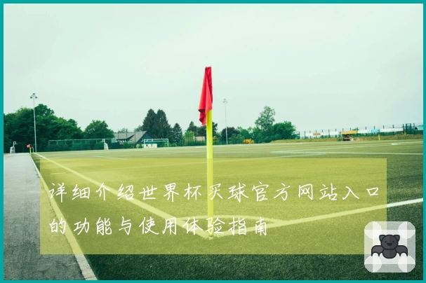 详细介绍世界杯买球官方网站入口的功能与使用体验指南