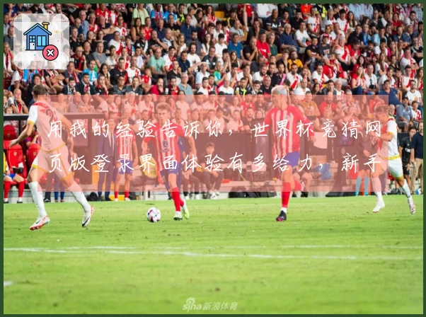 用我的经验告诉你，世界杯竞猜网页版登录界面体验有多给力，新手也能轻松上手