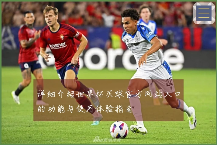 详细介绍世界杯买球官方网站入口的功能与使用体验指南